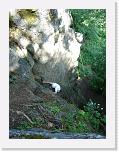 DSC04857 * 1728 x 2304 * (1.91MB)