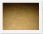 DSC04733 * 2304 x 1728 * (1.62MB)