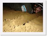 DSC04807 * 2304 x 1728 * (1.62MB)