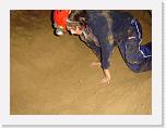 DSC04831 * 2304 x 1728 * (1.63MB)