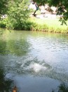 127-2703_IMG * 1200 x 1600 * (711KB)