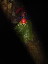 DSC02591 * 1728 x 2304 * (1.76MB)
